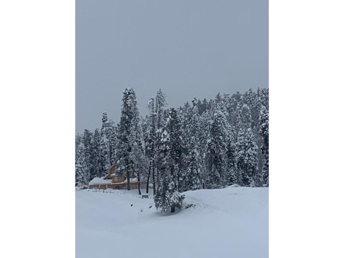 Gulmarg Ski Hill Resort Exterior foto
